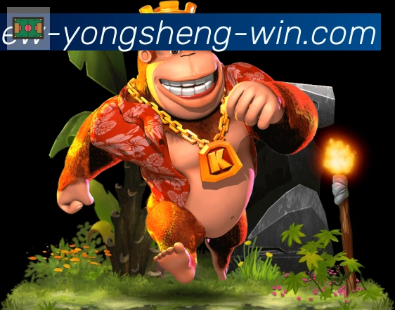 体育直播服务